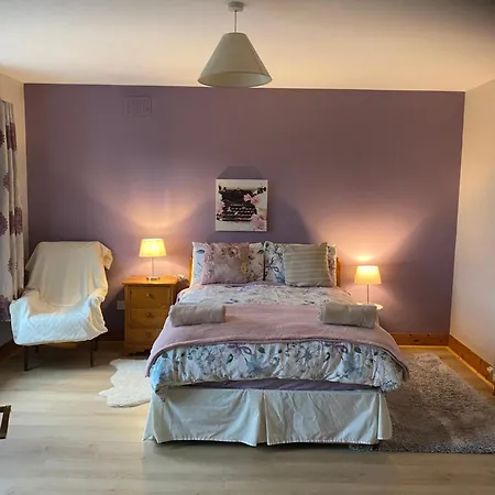 Rose Guest house